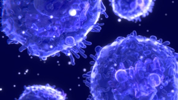 Introduction to Cell and Molecular Biology